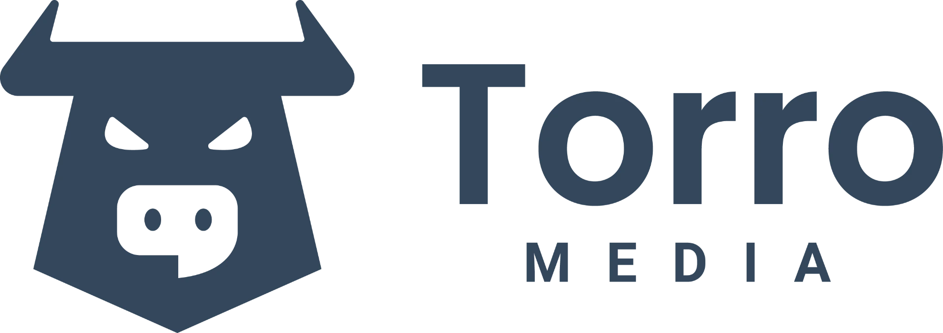 Torro Media